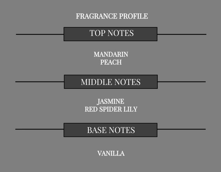 VELVET PEACH COMPARE TO I WANT CHOO FOR WOMEN FRAGRANCE BODY BUTTER - Ceed Fragrances