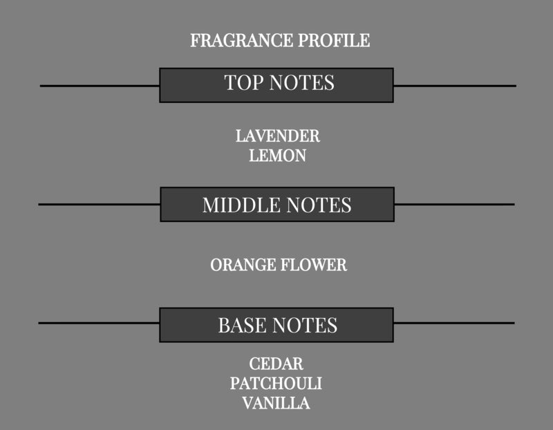 WOODY AROMATIC COMPARE TO GUILTY MEN FRAGRANCE BODY OIL - Ceed Fragrances