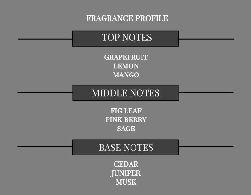 COMPARE TO PARIS HILTON MEN FRAGRANCE BODY SPRAY - Ceed Fragrances