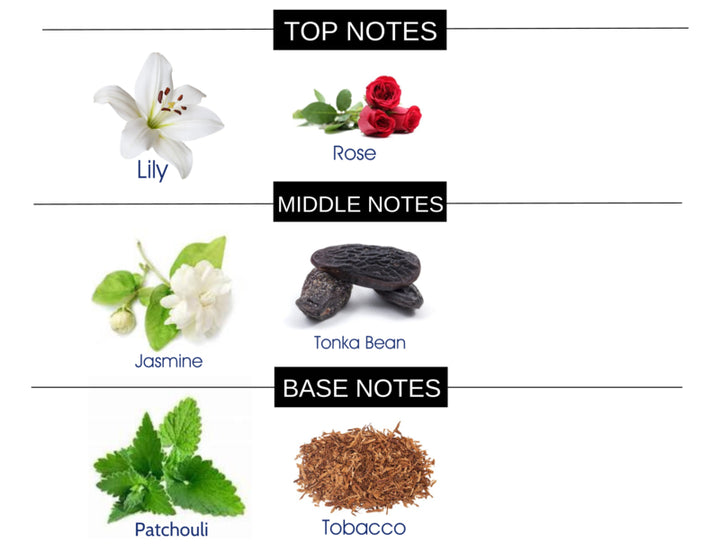 COMPARE TO DUBAI AMETHYST FRAGRANCE BODY BUTTER - Ceed Fragrances