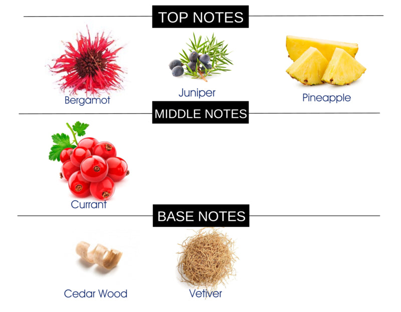 COMPARE TO SCENT OF PEACE FOR MEN FRAGRANCE BODY OIL - Ceed Fragrances