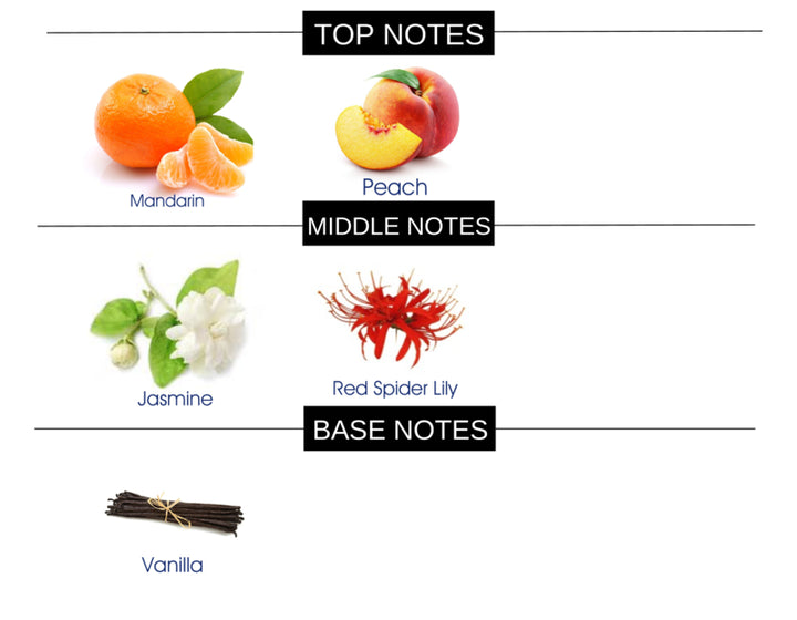 VELVET PEACH COMPARE TO I WANT CHOO FOR WOMEN FRAGRANCE BODY SPRAY - Ceed Fragrances