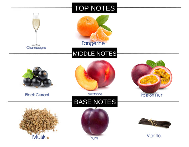 CHAMPAGNE DREAMS FRAGRANCE BODY OIL - Ceed Fragrances