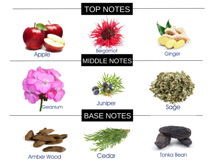 COMPARE TO Y FRAGRANCE BODY BUTTER - Ceed Fragrances