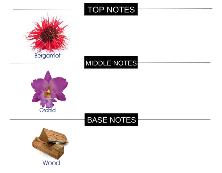 BITTER BERGAMOT COMPARED TO TEASE PLEASE FRAGRANCE BODY OIL - Ceed Fragrances
