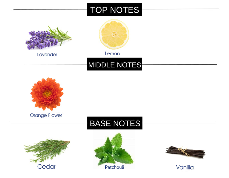 WOODY AROMATIC COMPARE TO GUILTY MEN FRAGRANCE BODY BUTTER - Ceed Fragrances