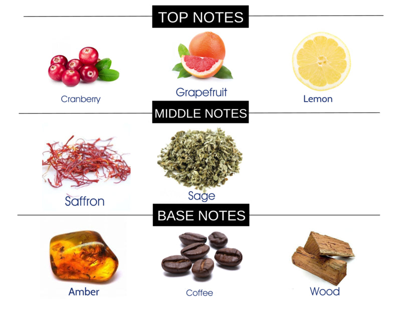 COMPARE TO POLO RED FRAGRANCE BODY OIL - Ceed Fragrances
