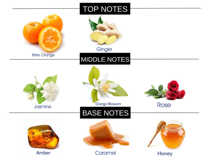 HONEY AMBER COMPARE TO JIMMY CHOO ILLICIT FRAGRANCE BODY BUTTER - Ceed Fragrances
