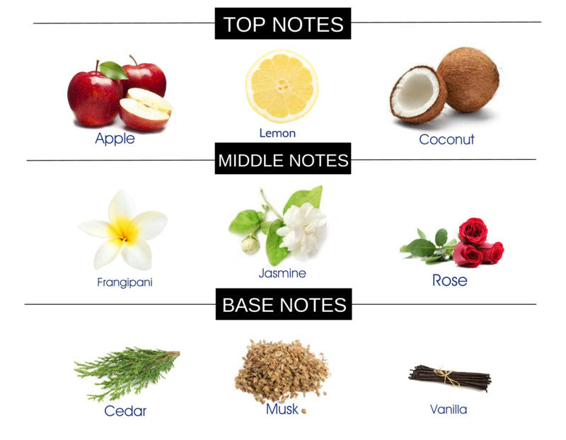 SKIES COMPARE TO BLUE SUN FRAGRANCE BODY OIL - Ceed Fragrances