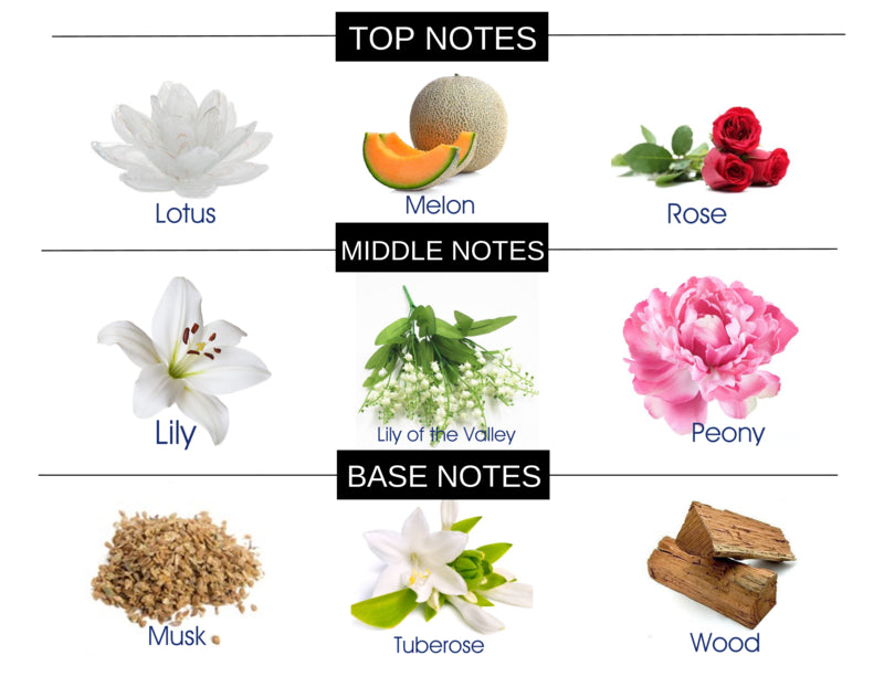THE ORIENT COMPARE TO LEAU D ISSEY MIYAKE WOMEN FRAGRANCE BODY SPRAY - Ceed Fragrances