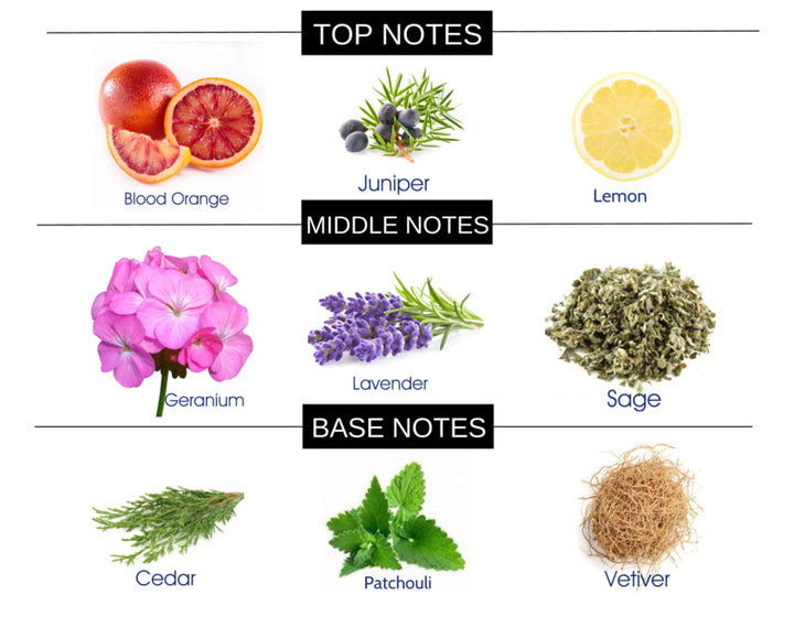 COMPARE TO D&G K FRAGRANCE BODY BUTTER - Ceed Fragrances