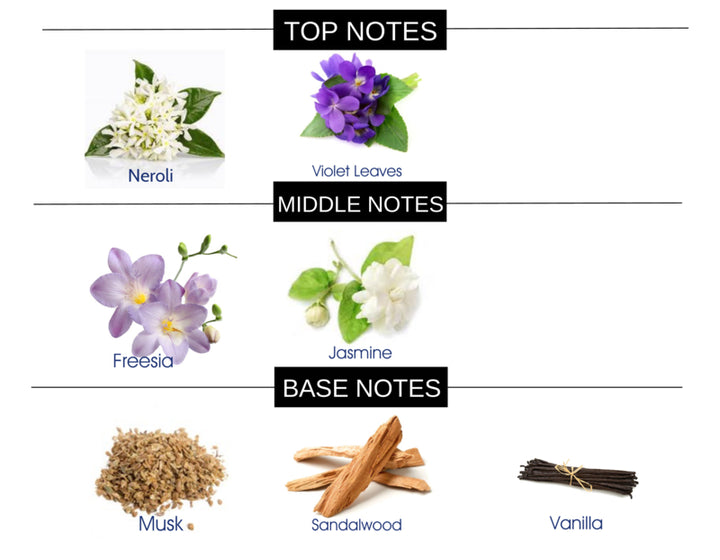 COMPARE TO QUEENS AND MONSTERS FRAGRANCE  BODY OIL - Ceed Fragrances