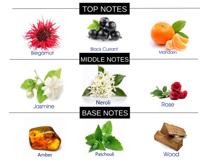 COMPARE TO SI FRAGRANCE BODY SPRAY - Ceed Fragrances