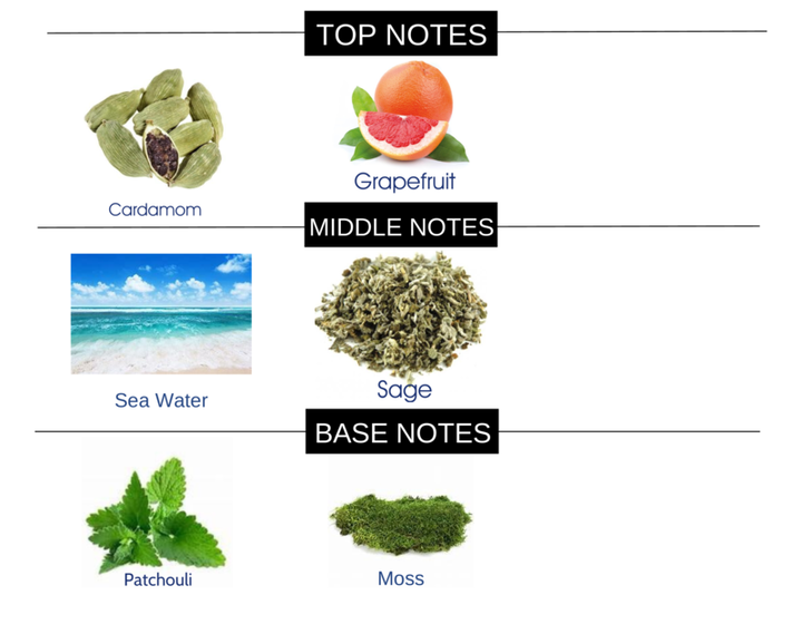 #17 FRAGRANCE HOME AROMA OIL - Ceed Fragrances
