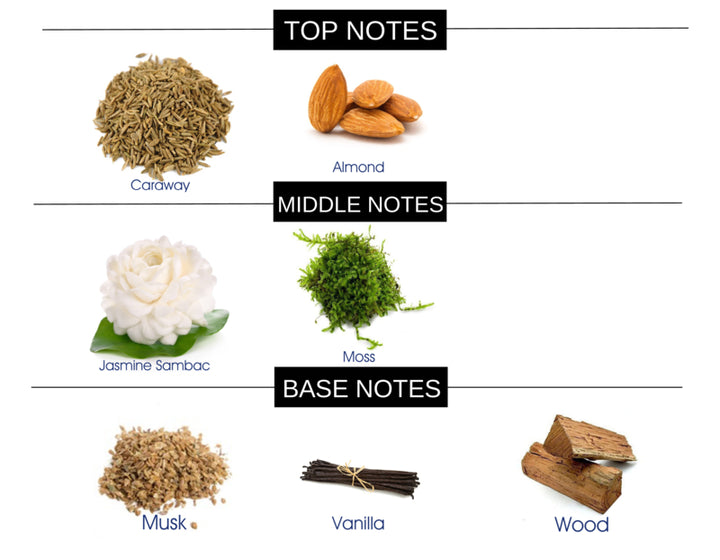 MIND BLOWN COMPARE TO HYPNOTIC POISON FRAGRANCE BODY SPRAY - Ceed Fragrances